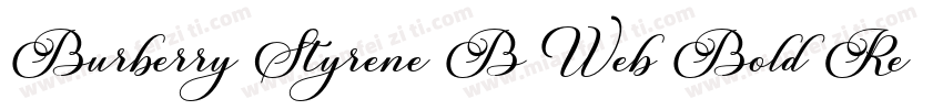Burberry Styrene B Web Bold Regular字体转换